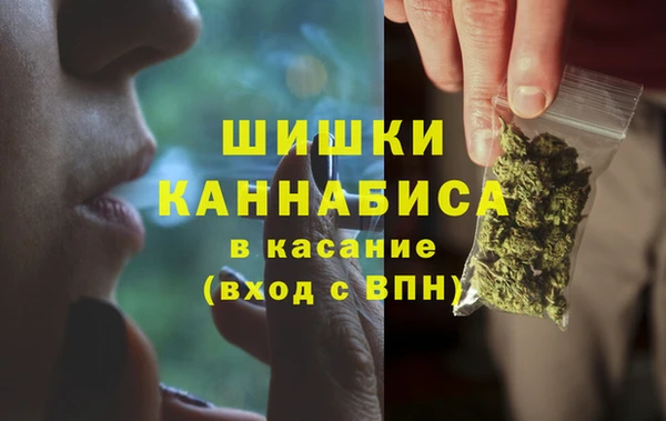 гидропоника Пересвет