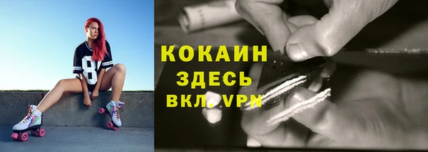 дживик Пестово
