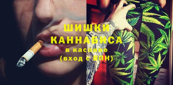 дживик Пестово