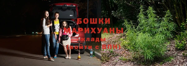 гидропоника Пересвет