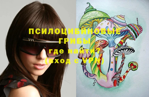 винт Переславль-Залесский